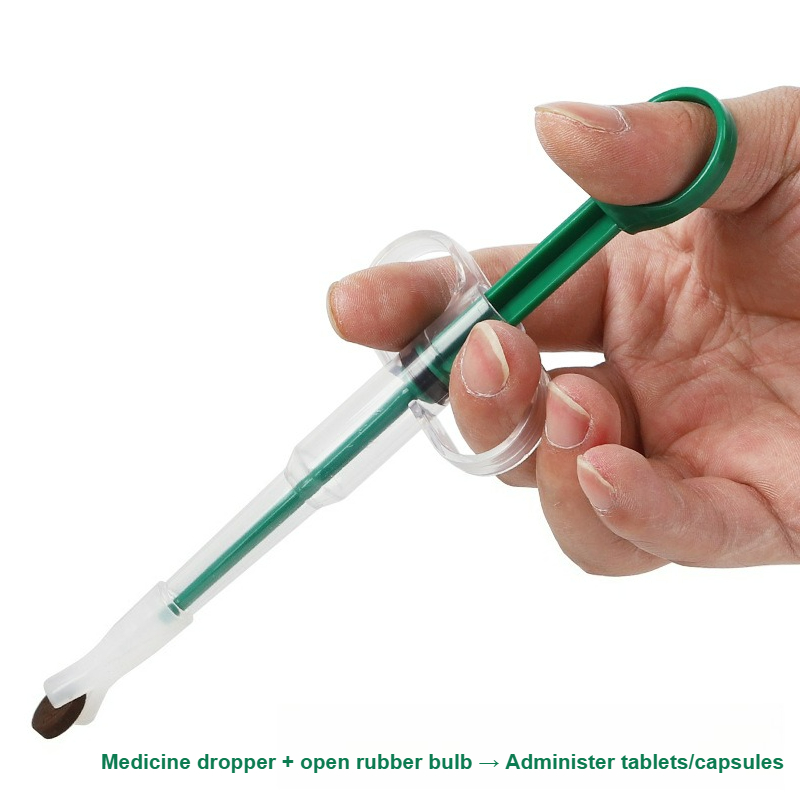 Pet Pill Gun，Pet Medicine Feed - Food Storage How To recensie en prijs