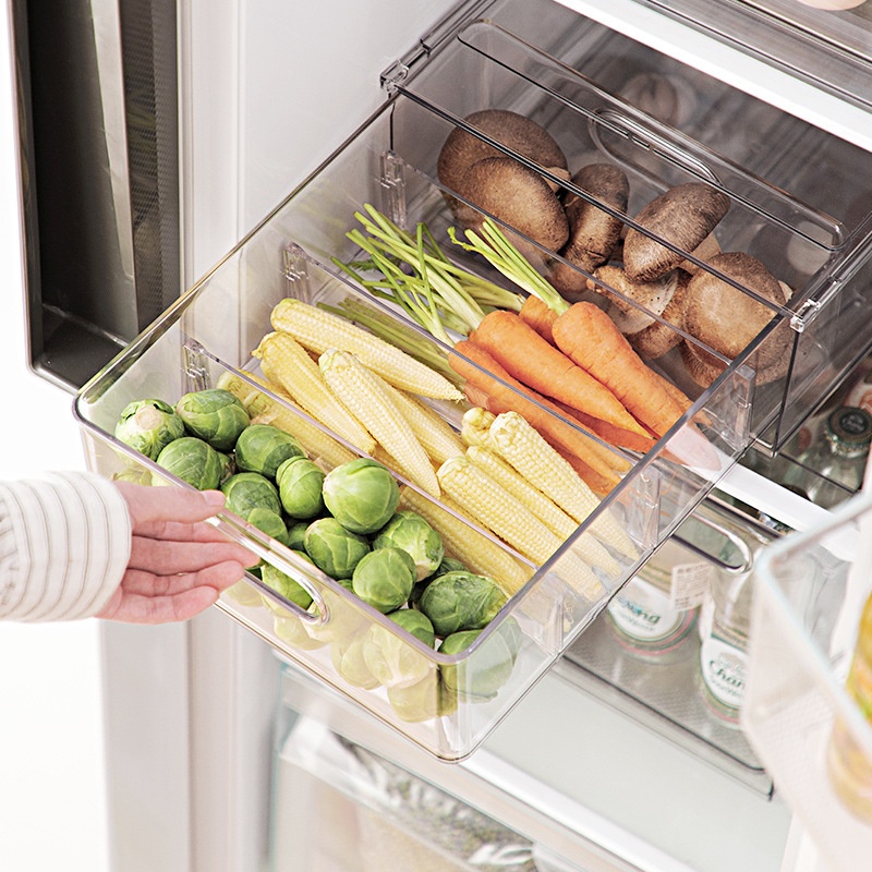 Drawer Style Refrigerator Stor - Food Storage Zone recensie en prijs