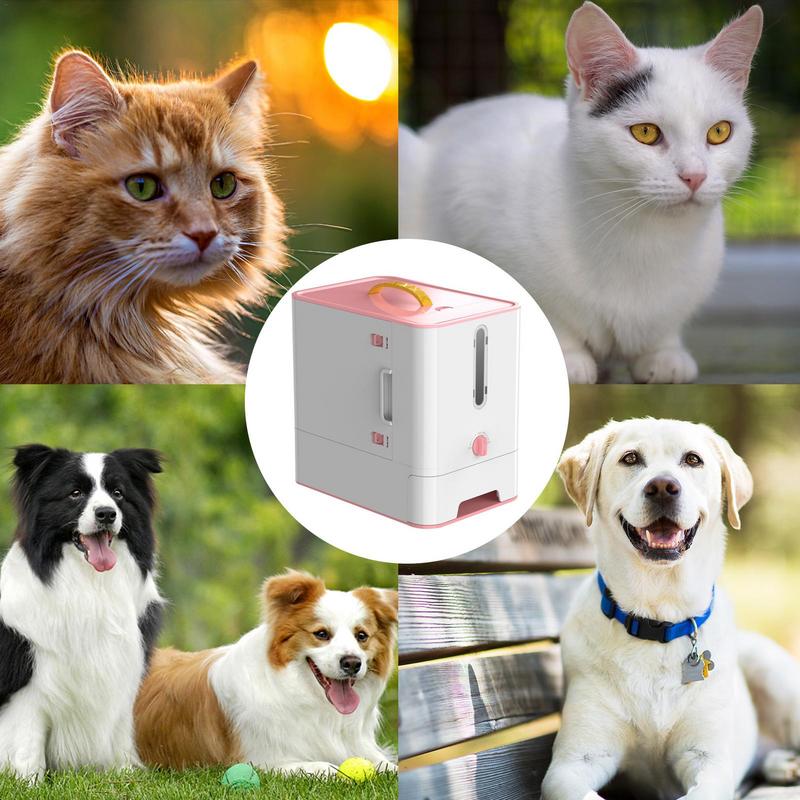 Pet Feeder Box Feeding Bowl Ca - Food Storage Food Safety recensie en prijs