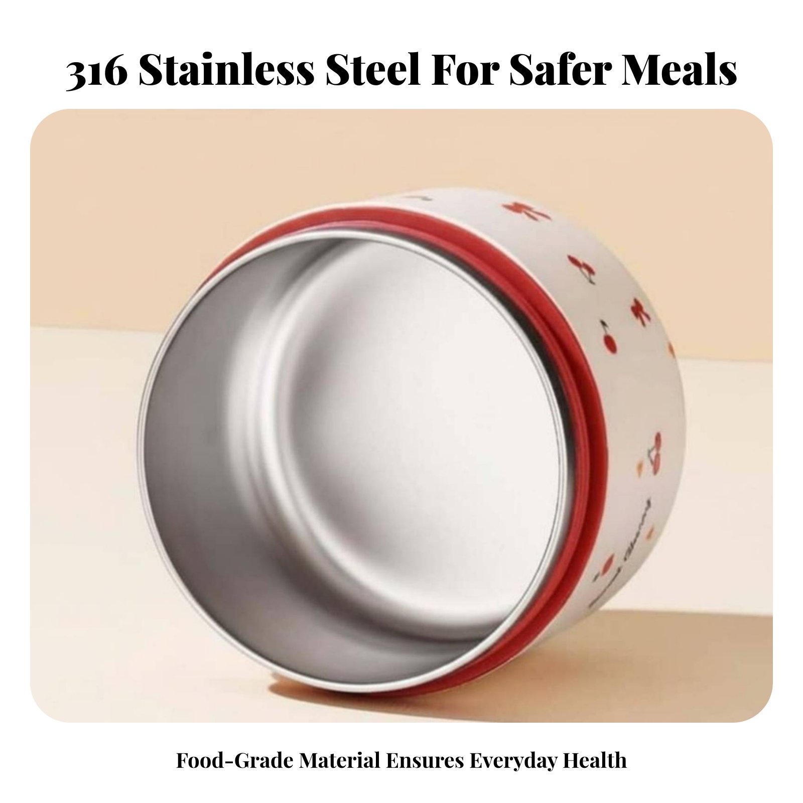 316 Stainless Steel Double-Tie - Stainless Lunch Box recensie en prijs