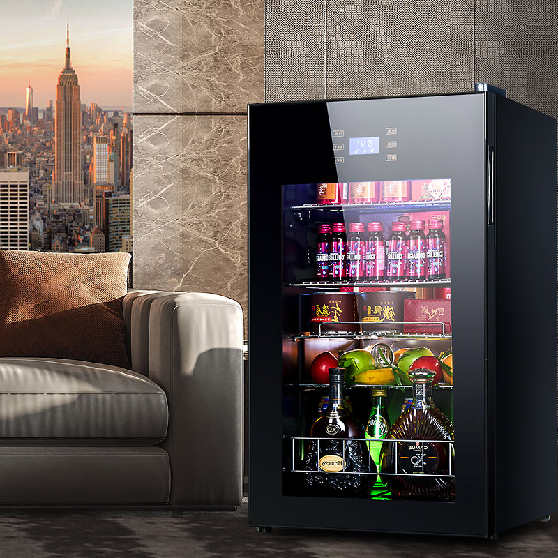 Cold Storage Refrigerator 95L  - Food Storage Zone recensie en prijs