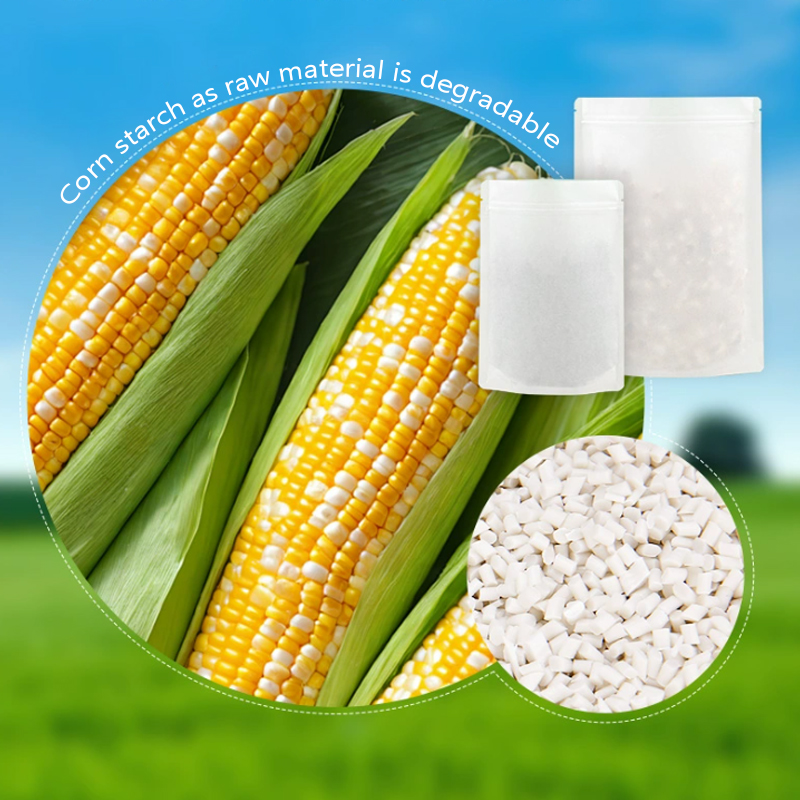 Customized Degradable Kraft Pa - Food Storage Plant recensie en prijs